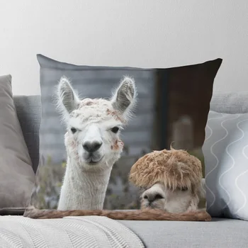 Любопитни алпаки сладки животни Хвърли възглавница еластичен капак за диван възглавници Начало декор декоративна възглавница