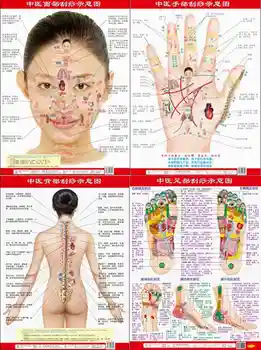 4 диаграми на зоната на отражение диаграми ръка, крак, лице, гръбначен стълб. Начало Здравеопазване Масаж, Гуаша, Акупунктура, Китайско издание